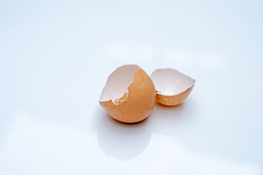broken egg shell