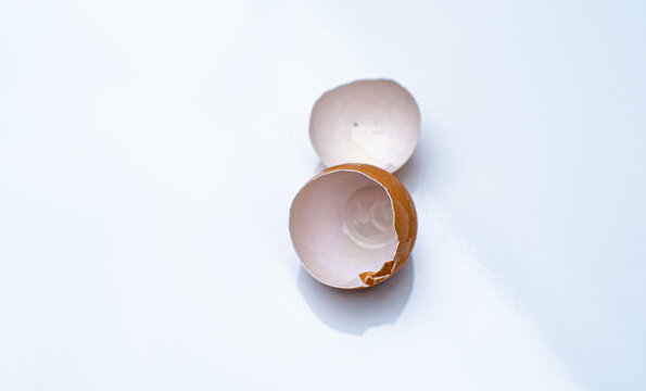 broken egg shell