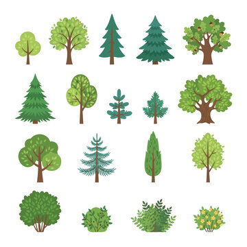 Diverse collection of stylized forest trees and green shrubs with evergreen tree