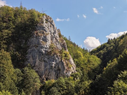 Towering limestone cliff rising above a dense green mountain forest