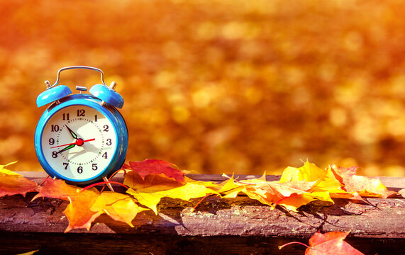 Clock with fallen leaves are on the bench
