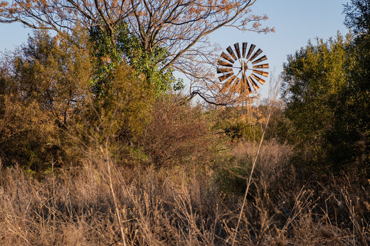 Windpump among grass and trees against a blue sky