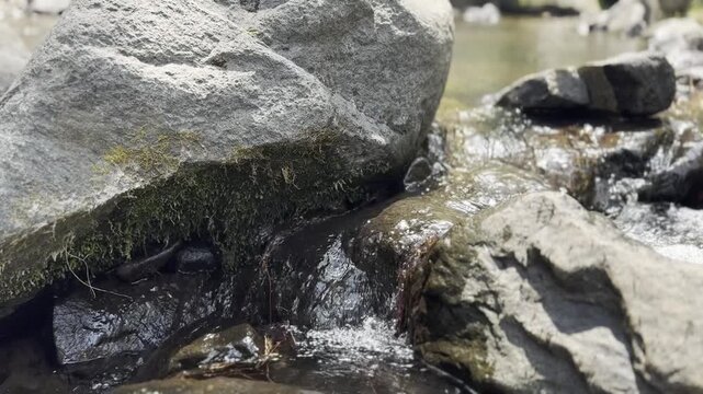 Flowing water over mossy rocks in a natural stream