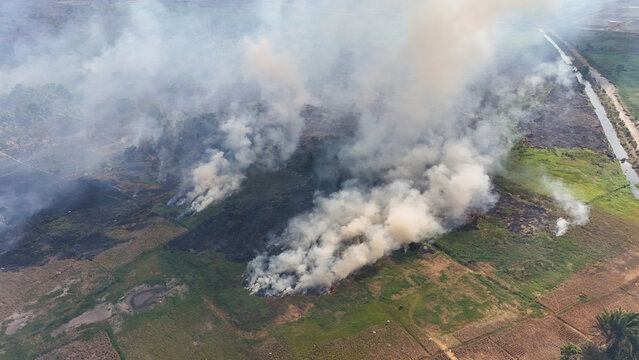 Thick smoke rising from a burning peatland area during a forest fire in South Kalimantan Indonesia