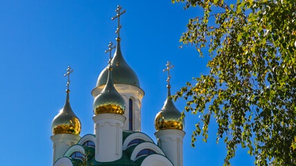 Orthodox church domes with golden crosses. © SGr