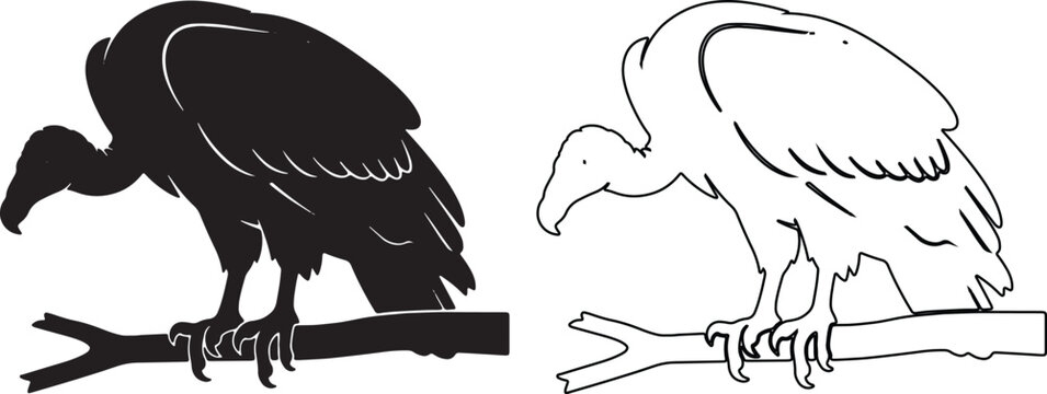 Vulture bird silhouette and line art vector set, scavenger condor perched on a branch, black and white wildlife illustration for nature logos isolated on Transparent Background