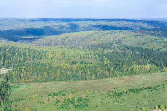 Aerial view of the autumn forest from the height of the bird's flight