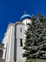 Church structure stands under a clear sky with a blue dome decorated with stars and a green tree nearby © Alexander