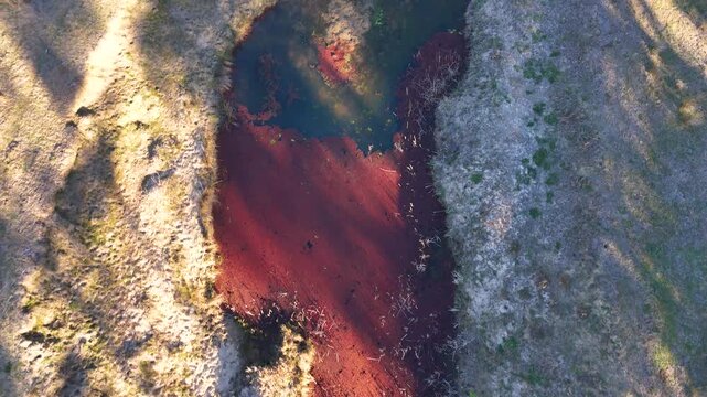 Aerial Top Down View of Creek with Red Algae Bloom