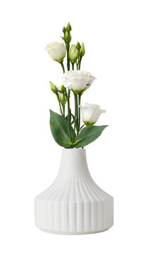 Twig of white eustoma flowers and buds in a white ceramic vase isolated on white or transparent background