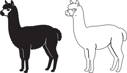 Fototapeta premium Minimalist alpaca vector silhouettes, black and white llama line art icons, set of 2 farm animal illustrations for logo design and branding isolated on Transparent Background