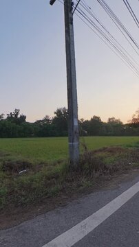 Peaceful rural landscape at sunset with lush green vegetation, open farmland, trees and overhead power lines beside a quiet road.