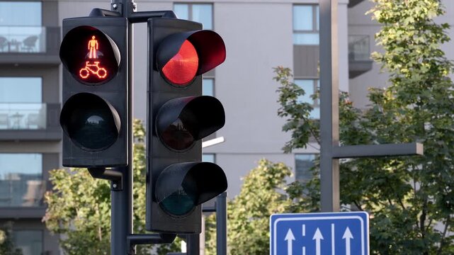 Static video of an urban traffic light completing a full signal cycle with vehicle, pedestrian and bicycle signals changing between red and green.