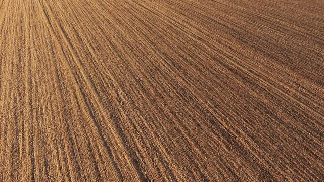 Freshly plowed farmland with visible tractor tire tracks running across cultivated soil rows. Agricultural field prepared for seeding with detailed furrow patterns under sunlight. Agronomy work