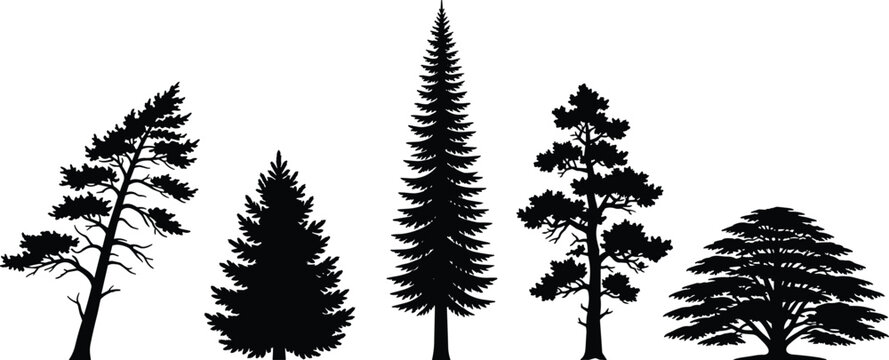 Black tree silhouette collection featuring pine cedar and broadleaf trees for nature and landscape designs