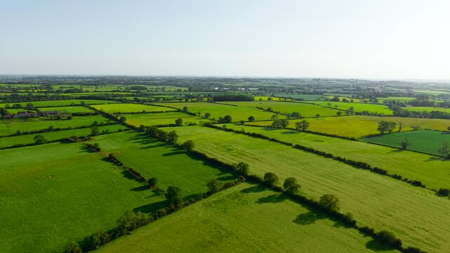 Rural grassland parcels forming geometric countryside landscape from above. Sunlit pasture fields separated by hedgerows and scattered trees across productive agricultural terrain. Wide spring