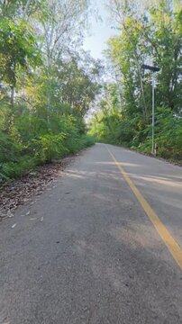A quiet paved road winding through dense green forest, surrounded by lush vegetation and tall trees, creating a peaceful natural landscape and outdoor travel scene.