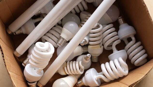 Fluorescent tubes, Compact Fluorescent Lamps, LED light bulbs, Halogen bulbs, Incandescent light bulbs