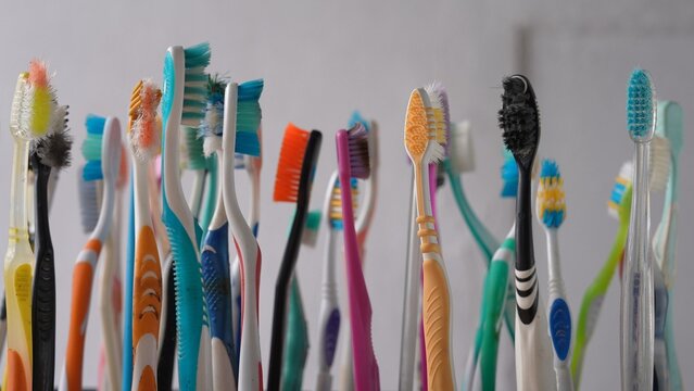 Collecting and disposing of old used plastic toothbrushes