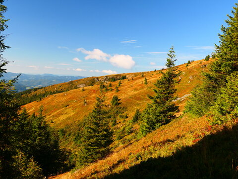 Landschaft an der Baumgrenze, Stuhleck am Semmering, Steiermark 