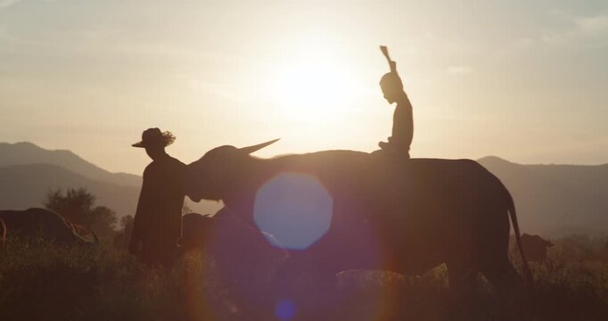 A farmer leads a water buffalo carrying a boy through rural fields, silhouetted against a golden sunset in the Thai countryside.