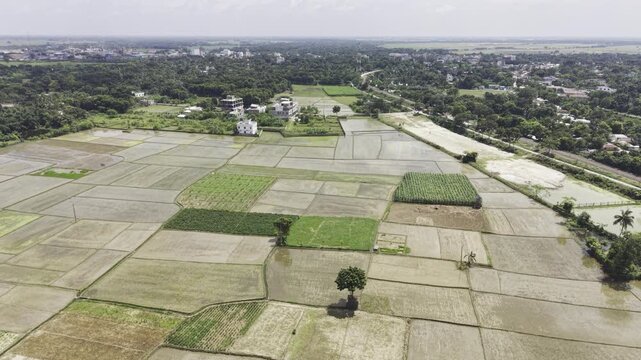 Drone footage captures young rice seedlings planted across prepared farmland, with shallow water, muddy plots, scattered trees, distant homes and a broad rural landscape beneath clouds.
