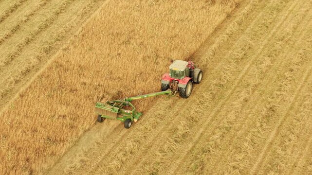 Forage crop harvesting with tractor pulling mower through grassland for cattle feed. Drone perspective above parallel windrows and working agricultural equipment in rural fields. Modern farming, hay