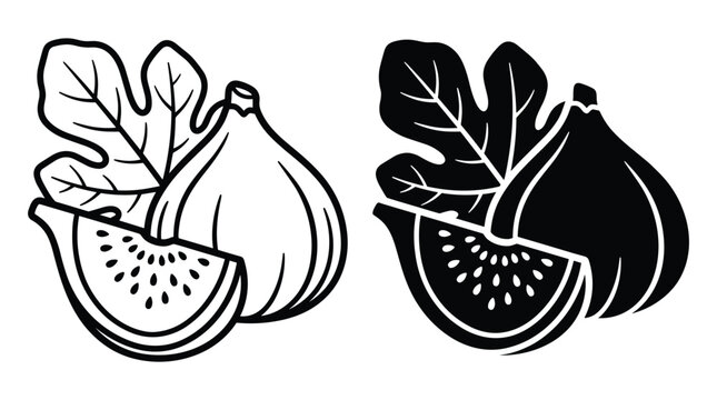 Stylized fig fruit line art and black silhouette icons represent sweet exotic food elements suitable for natural product packaging.