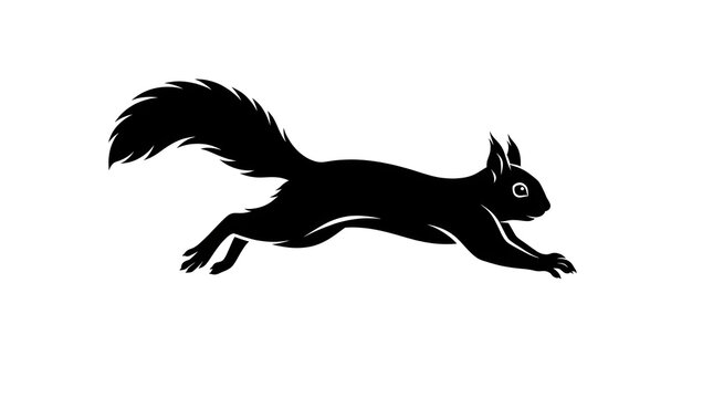 Black squirrel running on ground