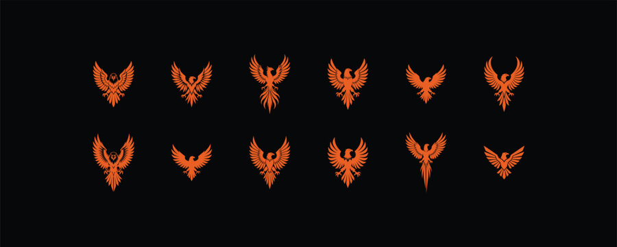 Collection of twelve stylized orange phoenix bird icons isolated on black.