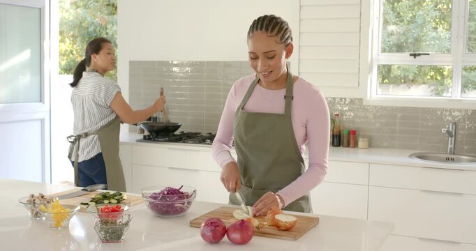 Lifestyle videos indoor of people doing activities at home, chopping vegetables in kitchen, woman pr