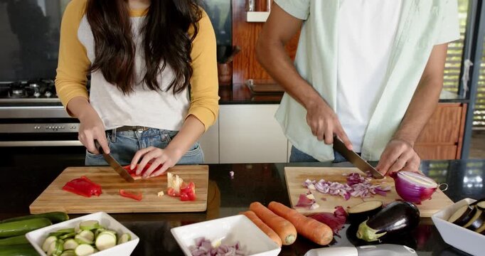 Lifestyle videos indoor of people doing activities at home, chopping vegetables, couple preparing me