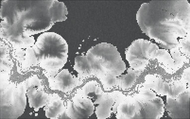 Fototapeta premium Abstract monochrome halftone pattern with dot matrix texture simulating smoke or clouds