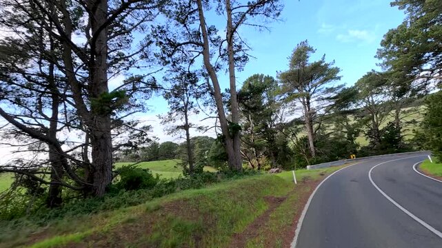 Driving Along a Winding Rural Country Road Lined with Trees