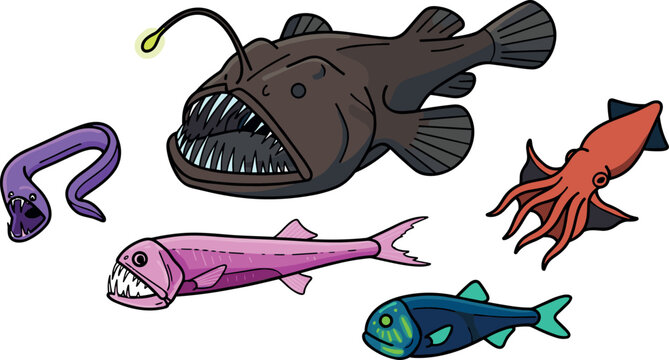 Vector cartoon illustration set of deep sea creatures featuring anglerfish viperfish gulper eel giant squid and bioluminescent lantern fish