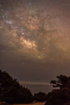 View of the Milky Way galaxy stretching across the night sky above the dark silhouettes of trees and the sea in Sardinia, Italy.
