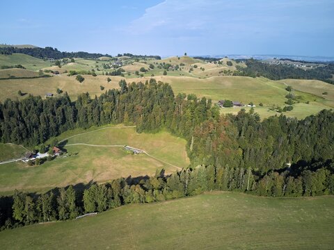 Parched, dry meadows in the Drumlin landscape, Sihlmatt in the foreground, hot summer 2026, Menzingen Canton of Zug, Switzerland