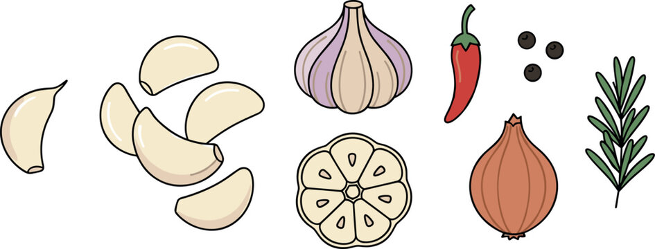 Vector cartoon illustration set of cooking ingredients featuring garlic bulbs cloves red chili pepper onion peppercorns and fresh rosemary sprig