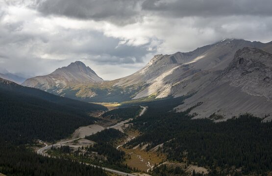 View of mountains Mount Wilcox and Nigel Peak and Wilcox Pass in autumn, Parker Ridge, Sunwapta Pass, Icefields Parkway, Jasper National Park National Park, Canadian Rocky Mountains, Alberta, Canada