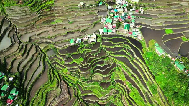 Aerial view of Batad rice terraces with lush green fields and traditional village homes in Luzon.