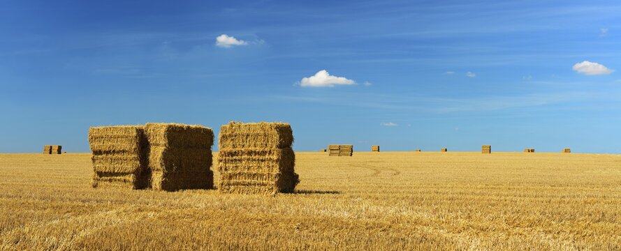 Panorama, Endless stubble field with bales of straw, summer landscape under blue sky with clouds, near Alsleben, Salzlandkreis, Germany ( Sachsen-Anhalt)