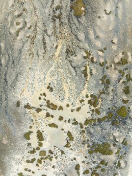 Marshland at low tide. Nature Reserve La Bre&ntilde;a y Marismas del Barbate. Aerial view. Drone shot. C&aacute;diz province, Andalusia, Spain