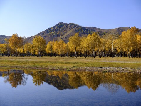 Autumn-coloured trees are reflected in the Tuul River at the entrance to Gorchi Terelj National Park, Ulan Bator, Mongolia