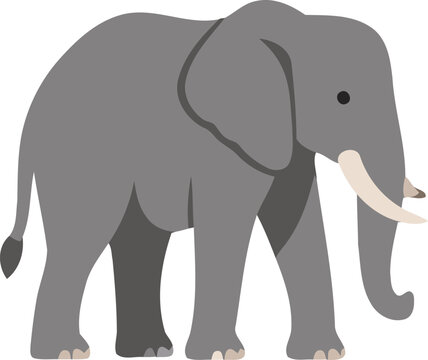 Cute Elephant Cartoon Vector Illustration Isolated on White Background, Adorable Large Wild Mammal with Trunk and Tusks, Safari Wildlife and Nature Design