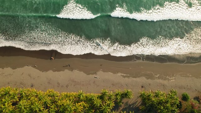 Aerial scene of turquoise ocean and lush coastal palm forest in sunny Costa Rica
