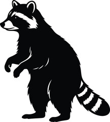 Fototapeta premium Black and white vector illustration of a raccoon
