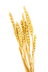 Obraz premium cereal heads isolated bread cut out with no background