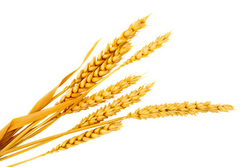 Obraz premium cereal heads isolated bread cut out with no background