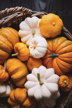 Close-up of wicker basket full of orange pumpkins in various sizes for fall harvest. Seasonal holiday background perfect for Thanksgiving or Halloween decor