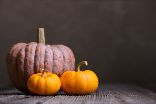 Close-up of three assorted pumpkins on wooden table against dark background in autumn setup. Moody food photography with seasonal styling and rustic fall atmosphere